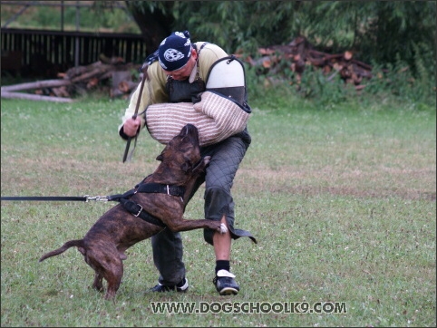 Training camp - Lukova 2007